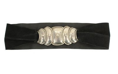 Armadillo buckle - Photo 1