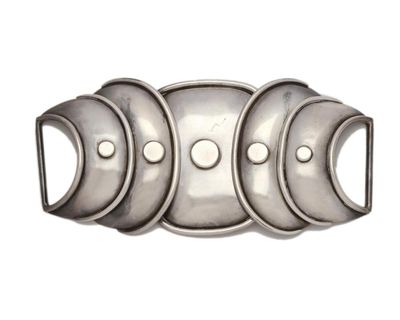 Armadillo belt - Photo 1
