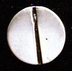 Silver Button: Round with a Line Down the Middle - Photo 1