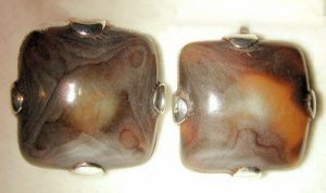 Rounded Square Tortoise Shell Earrings - Photo 1