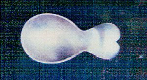 Caddy Spoon - Photo 1