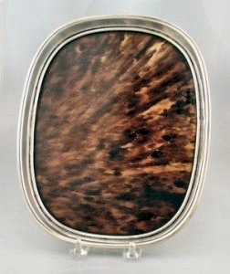 Tortoise Shell Tray with Silver Gallery - Photo 1